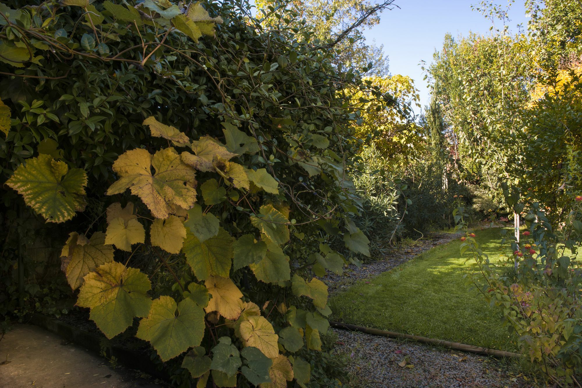 Al Porto Di Lucca B&B Kültér fotó
